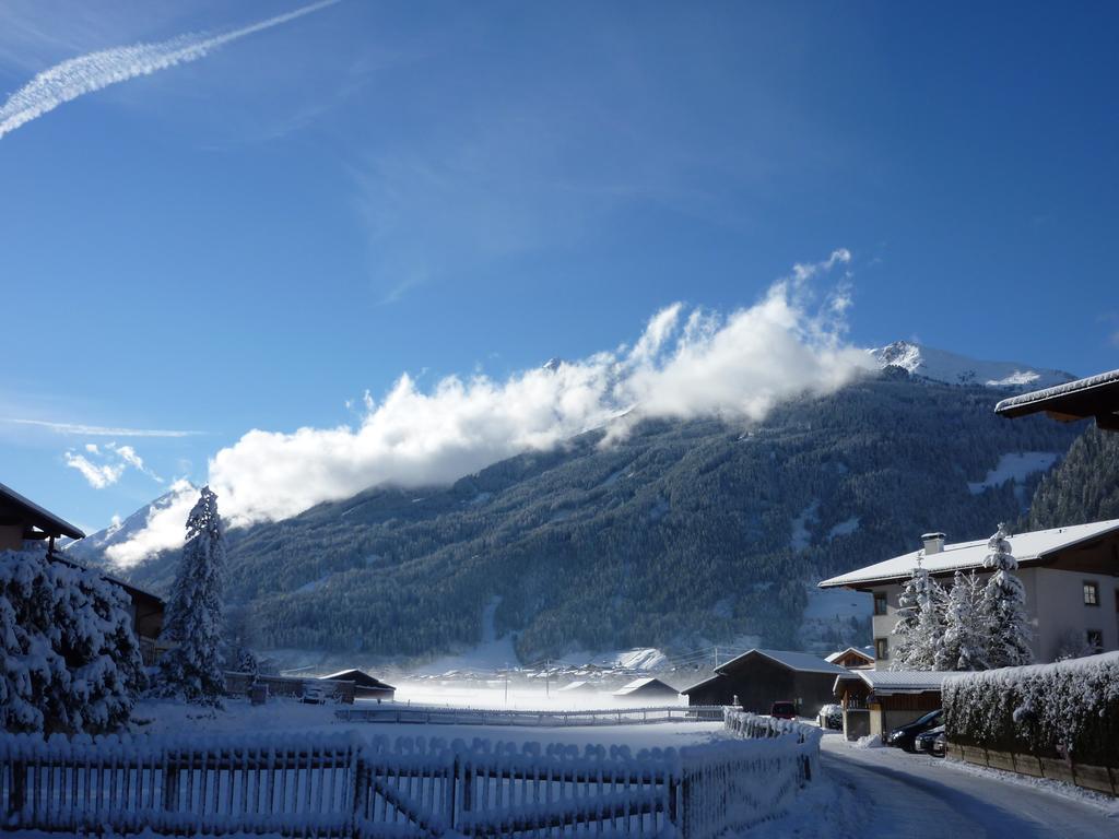 Apartamento Haus Bellis Neustift im Stubaital Exterior foto